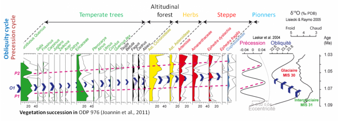 dynamique-de-vegetation.png