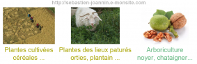 les-taxons-anthropiques.png